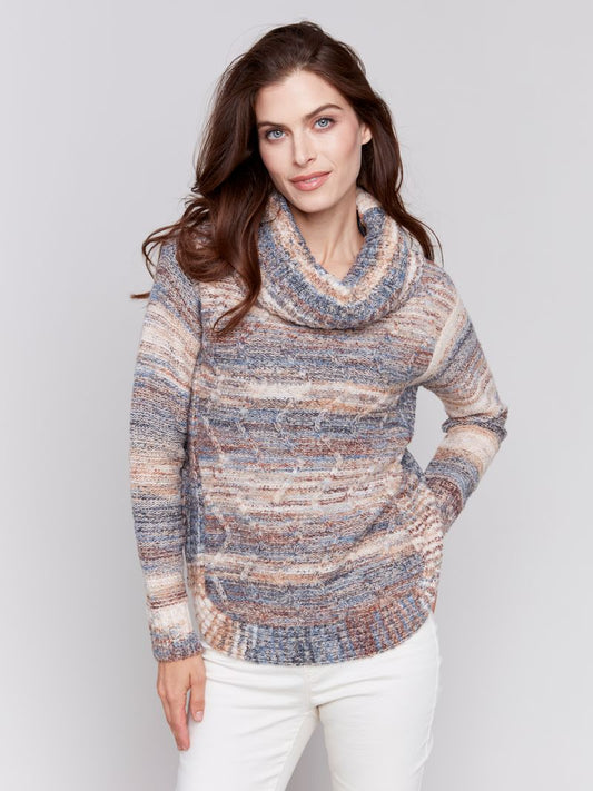 Charlie B Two-Tone Yarn Color Cowl-Neck Sweater